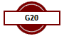 G20