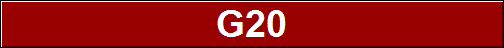 G20